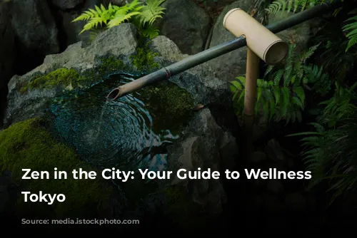 Zen in the City: Your Guide to Wellness in Tokyo