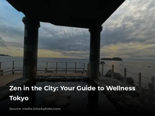 Zen in the City: Your Guide to Wellness in Tokyo